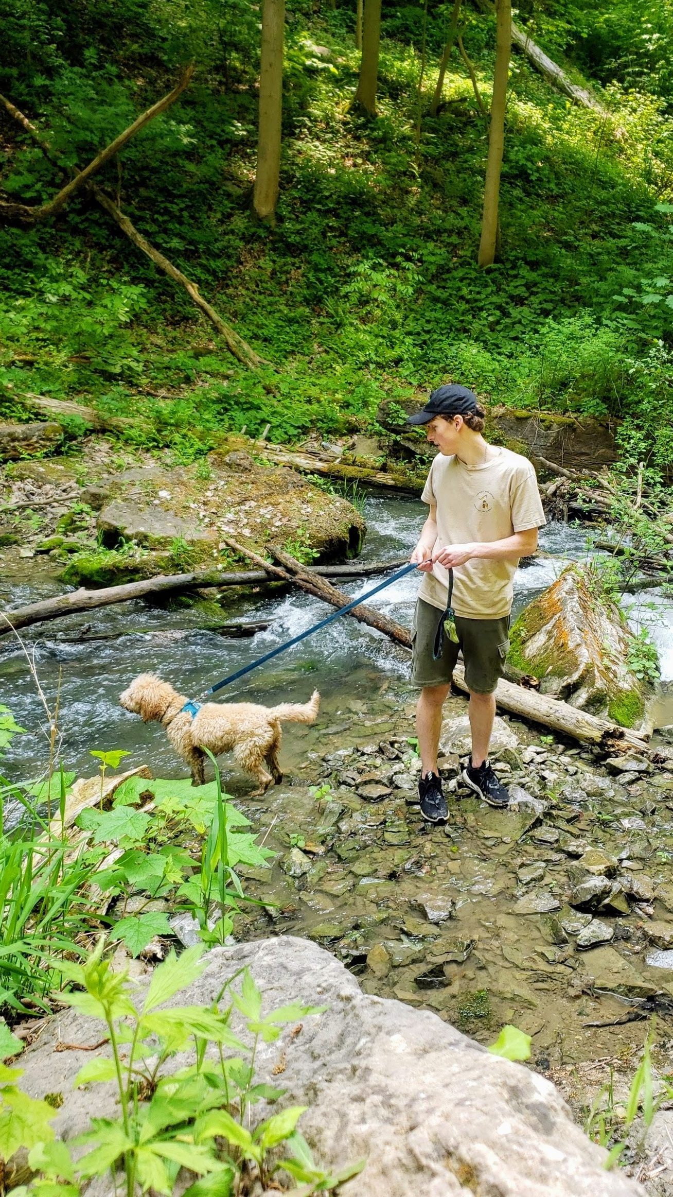 Niagara Leash & Lawn owner, Calum, walking a dog on a hiking trail that has a river.